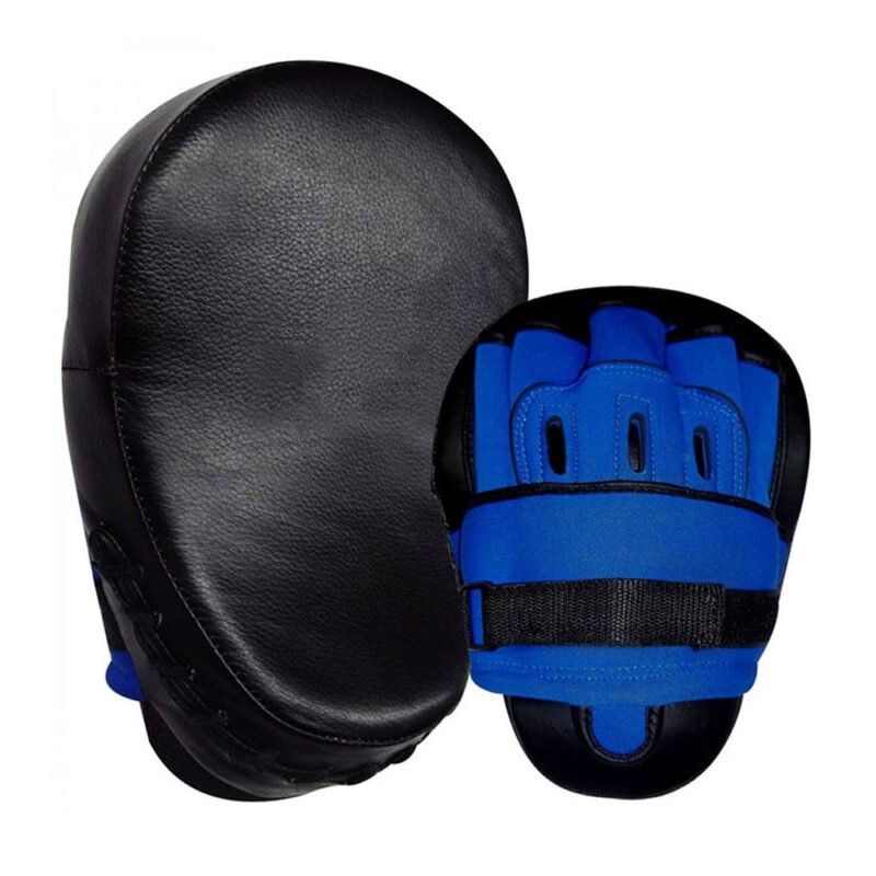 Focus PadsMMA Punch Mitt Pair